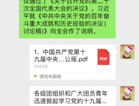 小儿感染科团支部线上集中学习党的十九届六中全会会议精神